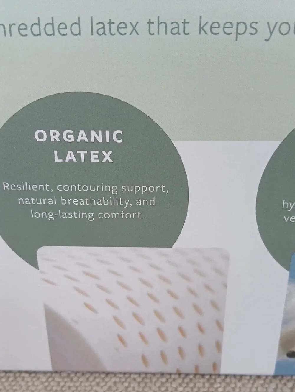 Avocado Organic Pillow - White